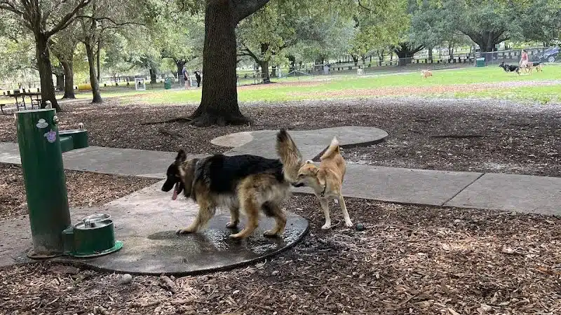 Rowlett Dog Park - Tampa, FL