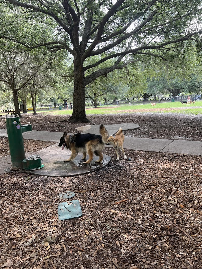 Rowlett Dog Park - Tampa, FL