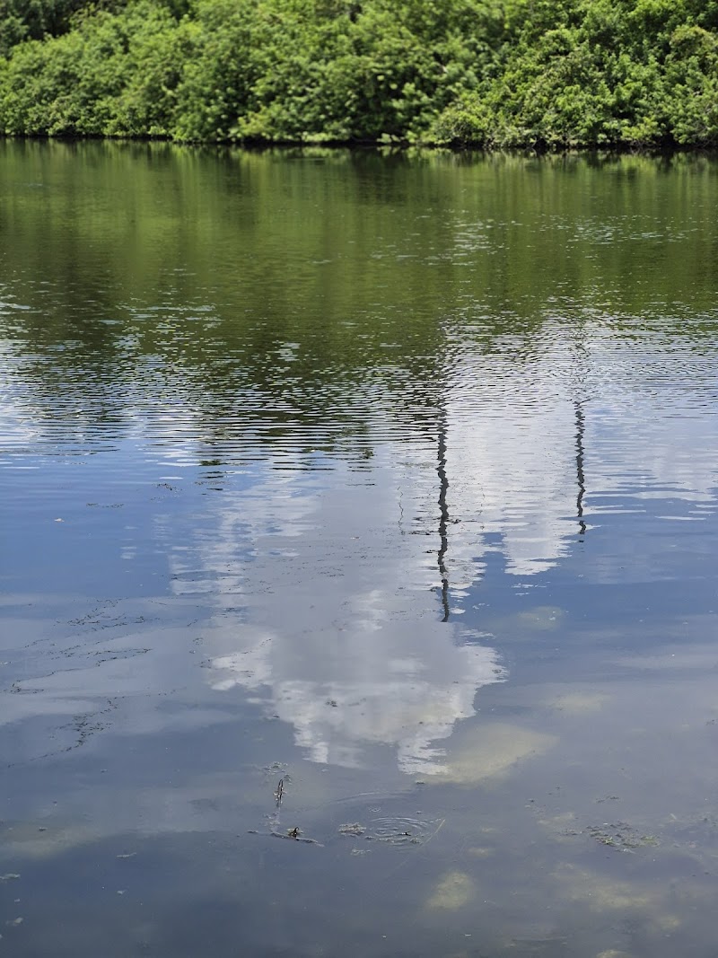 Rowlett Dog Park - Tampa, FL