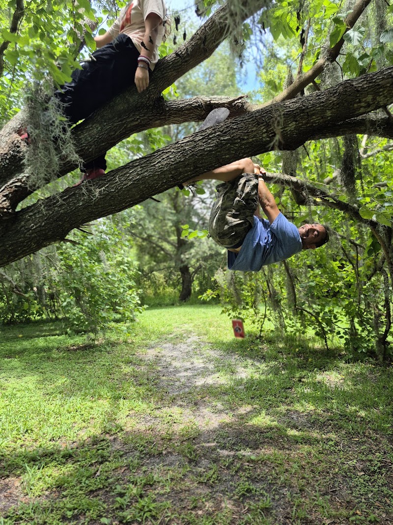 Rowlett Dog Park - Tampa, FL