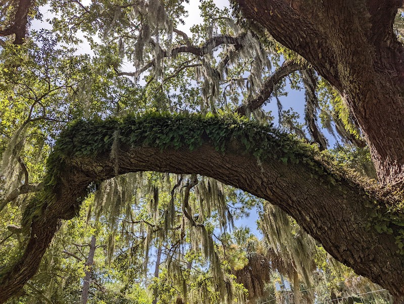 Swann Park - Tampa, FL