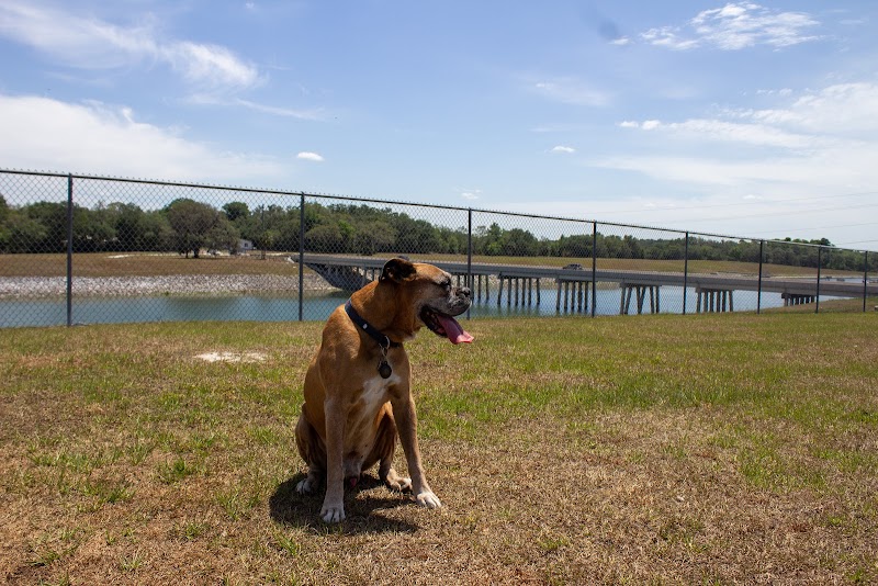 Temple Terrace Hilltop Dog Park - Tampa, FL