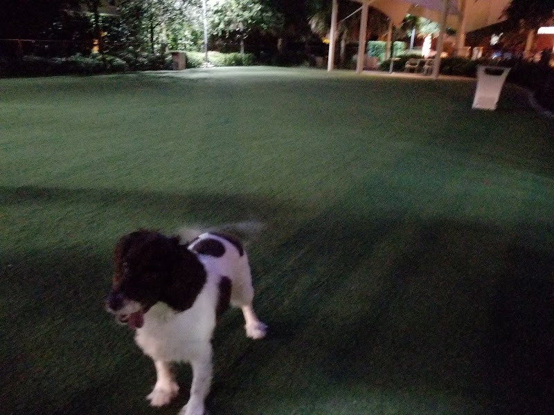 Washington Street Park - Tampa, FL