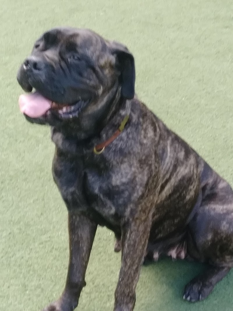 Washington Street Park - Tampa, FL