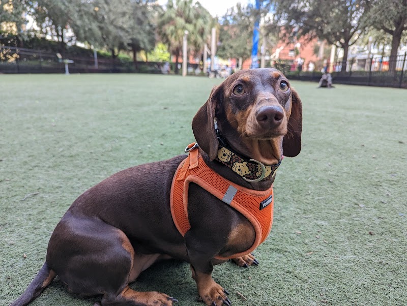 Washington Street Park - Tampa, FL