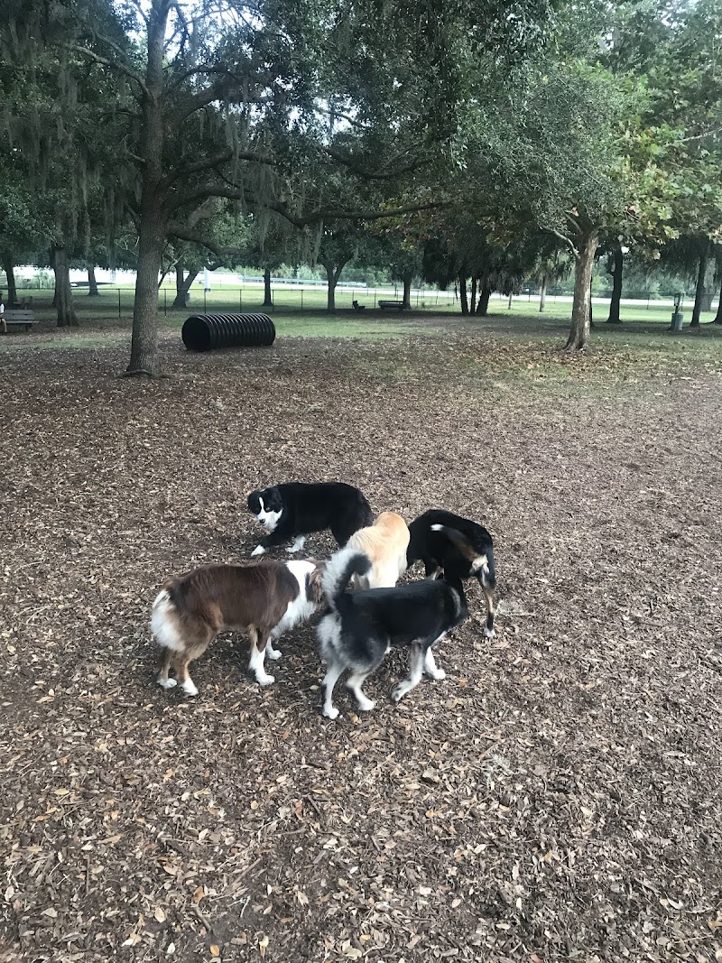 Washington Street Park - Tampa, FL