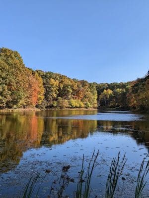 Deer Lakes Park