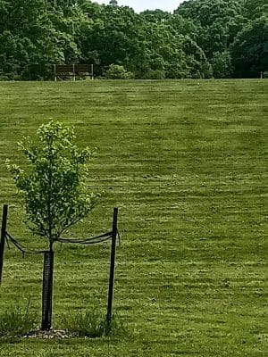 Deer Lakes Park