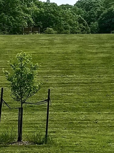 Deer Lakes Park