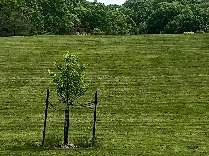 Deer Lakes Park - Tarentum, PA