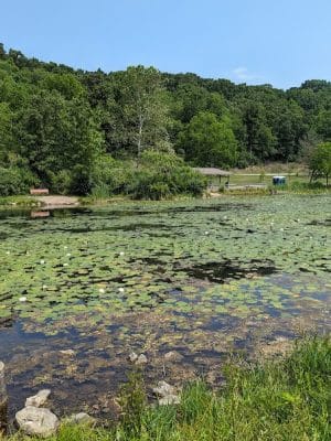 Deer Lakes Park