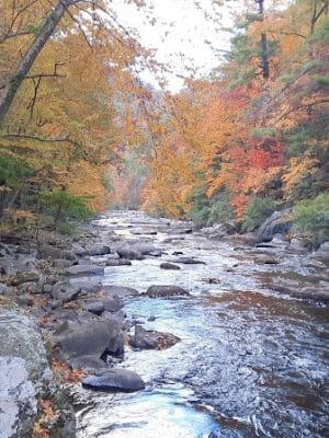 Bald River Falls