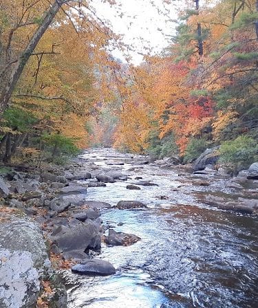 Bald River Falls