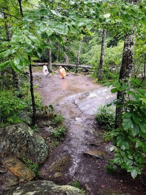 Bald River Falls
