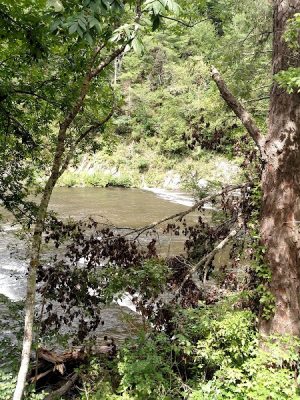 Bald River Falls