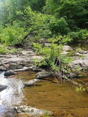 Conasauga Falls Trail