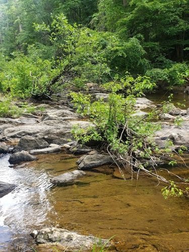 Conasauga Falls Trail