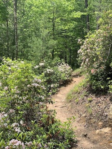 Conasauga Falls Trail