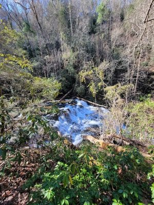 Conasauga Falls Trail