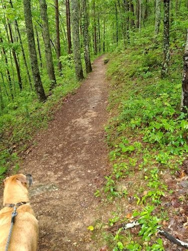Conasauga Falls Trail
