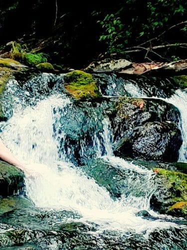 Conasauga Falls Trail