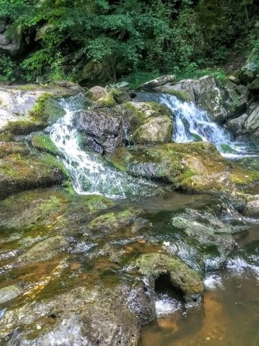 Conasauga Falls Trail