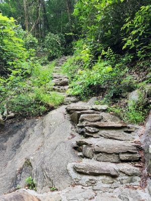 Conasauga Falls Trail