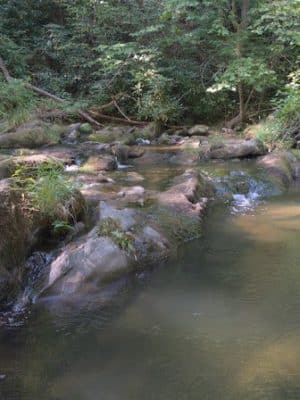 Conasauga Falls Trail