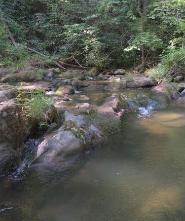 Conasauga Falls Trail