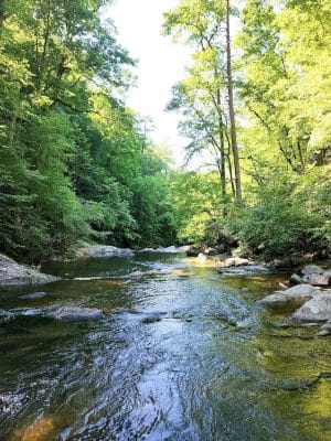 Conasauga Falls Trailhead Parking