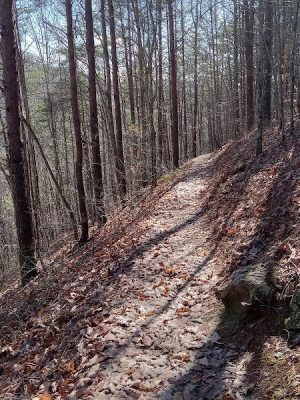 Conasauga Falls Trailhead Parking