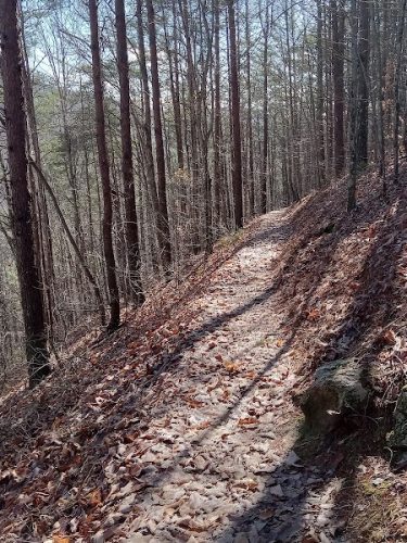 Conasauga Falls Trailhead Parking