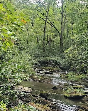 Conasauga Falls Trailhead Parking