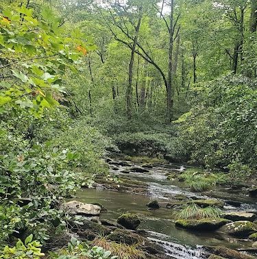Conasauga Falls Trailhead Parking
