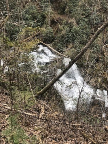 Conasauga Falls Trailhead Parking