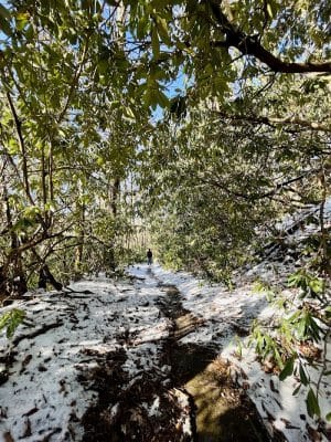 Falls Branch Trail