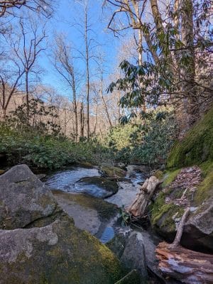 Falls Branch Trail