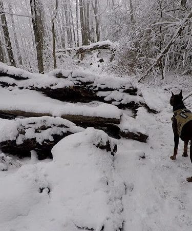 Falls Branch Trail