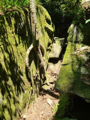 Falls Branch Trail