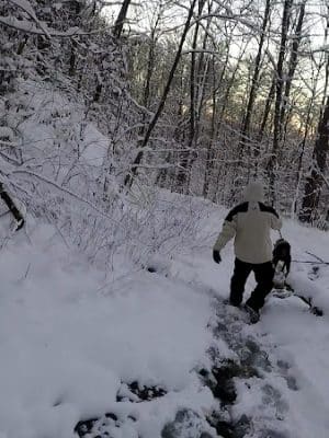 Falls Branch Trail