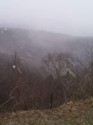 Falls Branch Trail