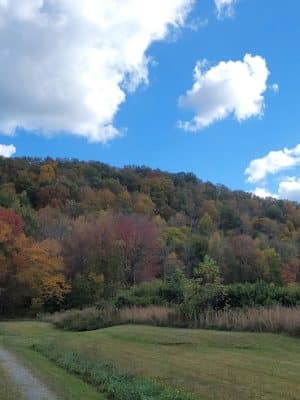 Hammer's Hideaway Campground