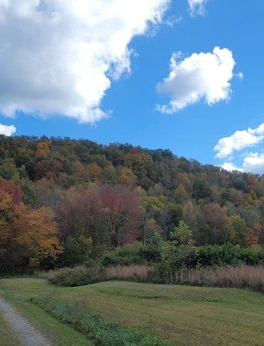 Hammer's Hideaway Campground