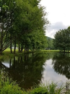Hammer's Hideaway Campground