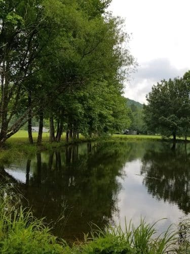 Hammer's Hideaway Campground