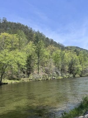 Tellico Beach Drive In