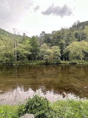 Tellico Beach Drive In