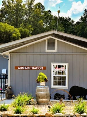 Tellico Plains/Cherokee National Forest KOA