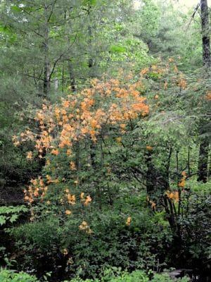 Indian Boundary Recreation Area