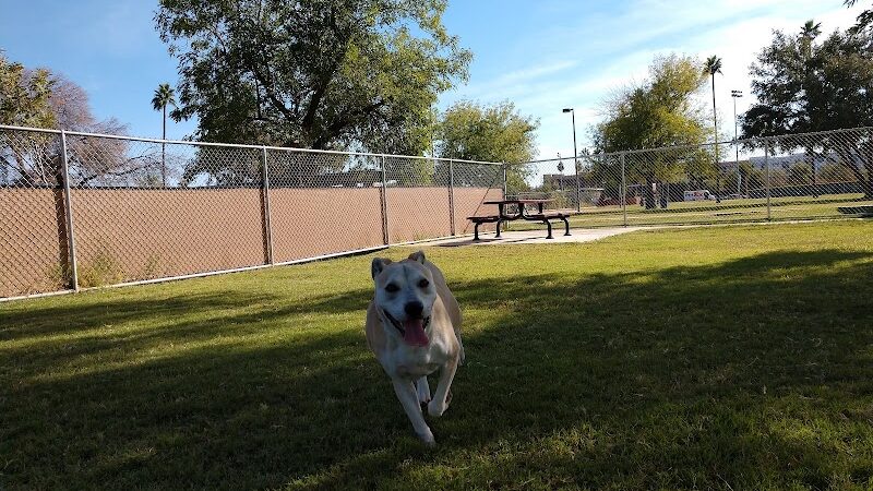 Clark Park Dog Park - Tempe, AZ